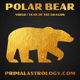All 144 Primal Zodiac Signs | Primal Astrology