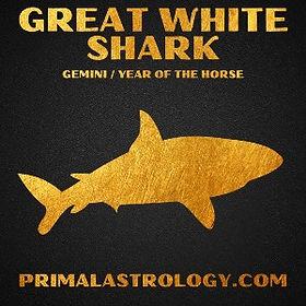 Pisces monkey primal astrology