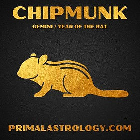 All 144 Primal Zodiac Signs | Primal Astrology