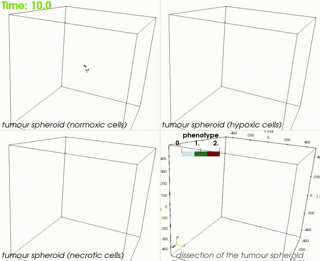 tumour_spheroid.gif