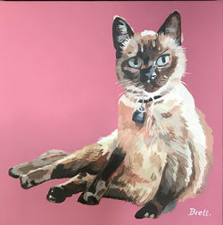 2022-10-30 19.55.59-1