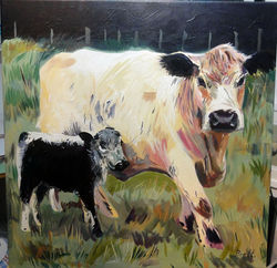 ashdown cows.jpg