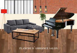 planche de style salon