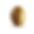 tigers_eye.jpg