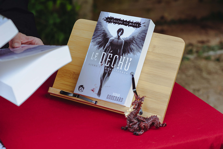 Photo du roman " Le Déchu, Livre I : Renaissance " sur un repose livre en bois.