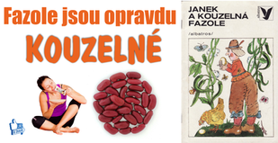 Fazole požírají tuky