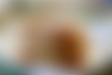 Borůvkové lívanečky při hubnutí