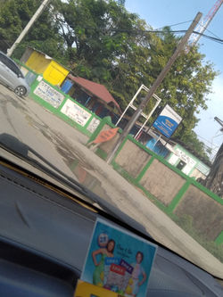 Morant Bay Tax Office. St Thomas Directory