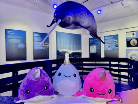 Extended! Legendary Arctic Creature Stays at Monmouth Museum Until March 1