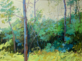 36x48 My side yard.jpeg