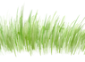 webpage accents copy.png