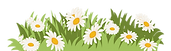 webpage accents copy.png