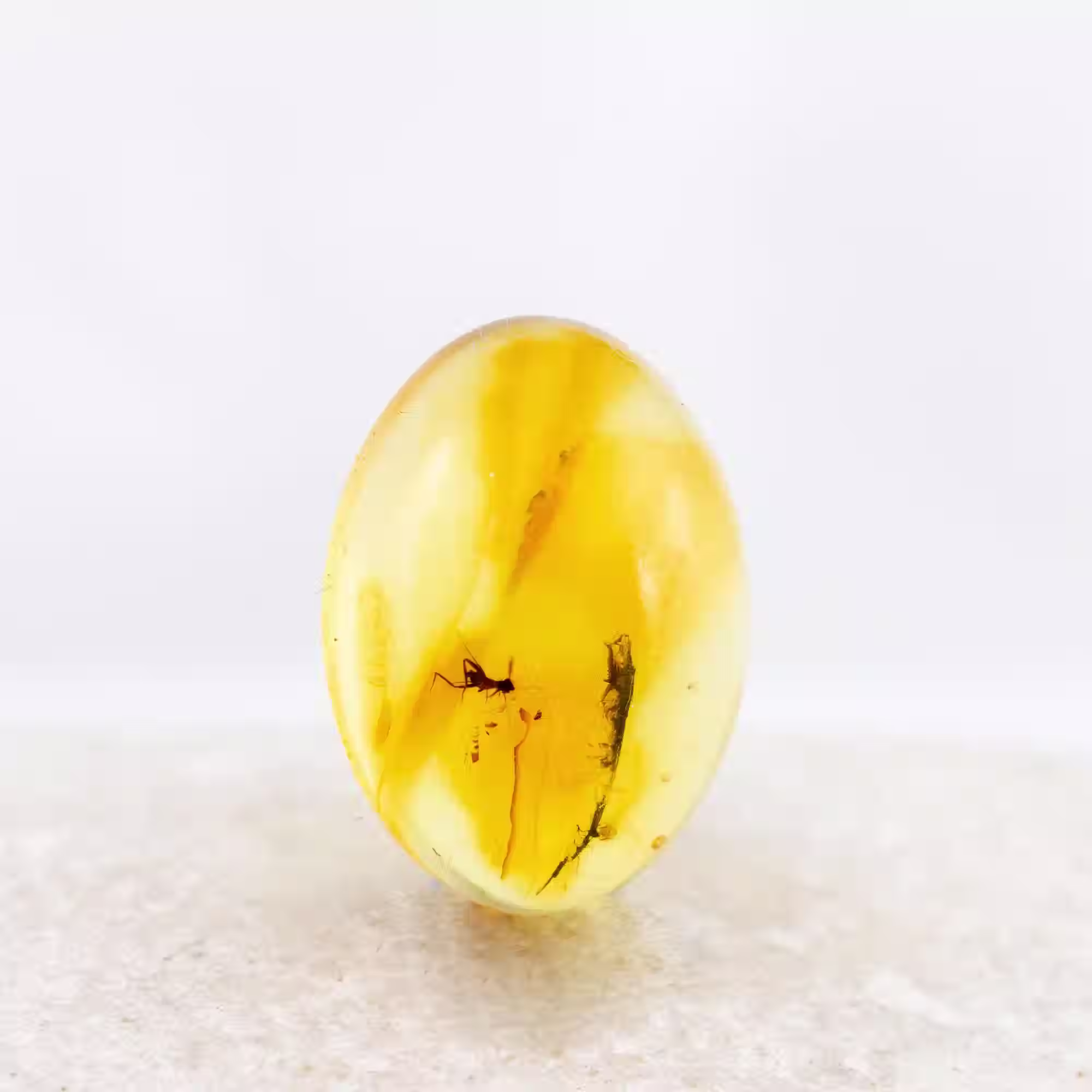 Rare Baltic Amber Cabochon with Prehistoric Insect Inclusion