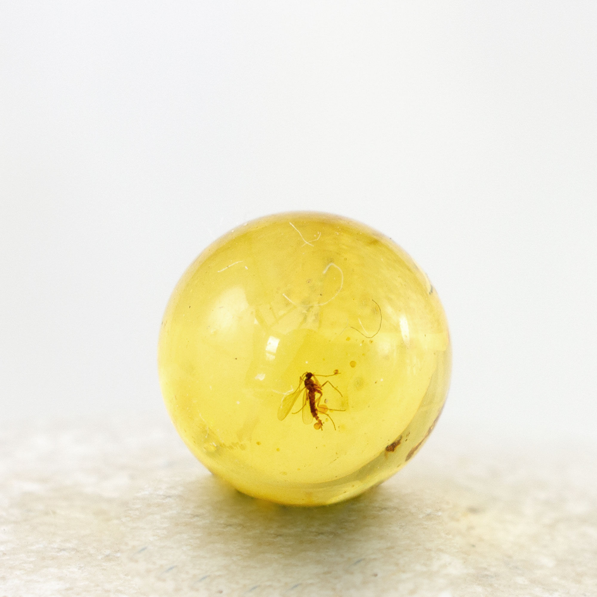 Fossil Midge Insect Inclusion in Genuine Baltic Amber 8mm Sphere