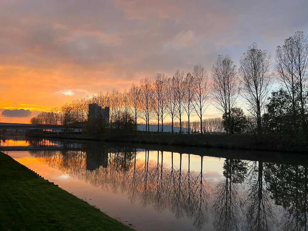 WhatsApp Image 2025-12-20 at 13.02_edited.jpg