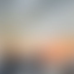 Les amphibiens vivent une réalité augmentée