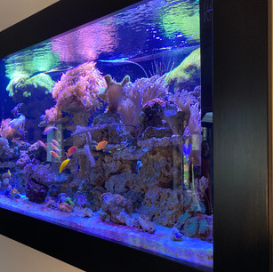 Framed aquarium.jpeg