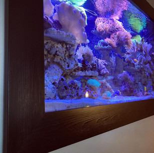 Aquarium frame.jpeg