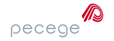 logopecege22_logo-h1.webp