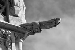 GARGOUILLE, ST PIERRE - CAEN