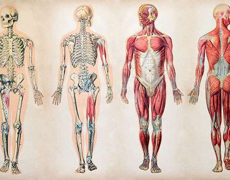 Happy Trio - Part II - Taking Care of “The Self”: BODY