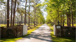 Located on South Carolina’s Pee Dee River, Weymouth Plantation is a historic and diverse well-managed recreational property. The plantation is located on Plantersville Road, a scenic road made up of some of the most significant plantation properties in the state, including Chicora Wood, Exchange, Rosebank, and Arundel. Weymouth is 914± acres and has a broad range of habitat types that provide an enormous amount of quality outdoor hunting and fishing opportunities. The upland pines and longleaf have been managed for quail, there are duck impoundments, and great deer and turkey hunting. Situated on the river, a mile and a half from the paved road, the main house is surrounded by huge live oaks and the setting is the definition of serene.