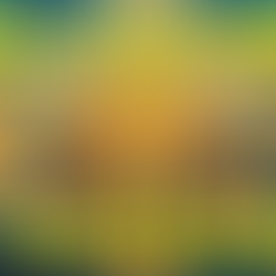 Exploring the Biblical Description of What Heaven Will Be Like