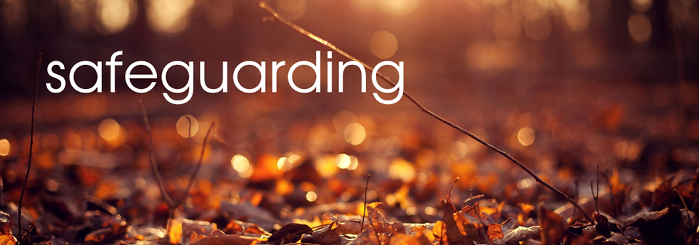 page-banner-safeguarding-1024x435-2962747167.png