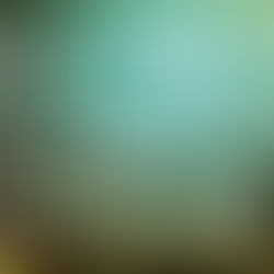 Understanding the Four Resurrections in Chronological Order