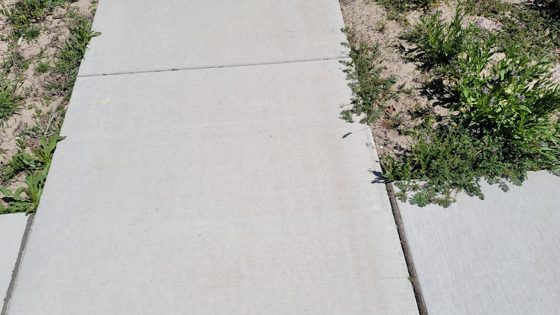Image of a clean, dry basement after a storm, highlighting a water softener system. Bags of salt are neatly stacked nearby, emphasizing preparedness. The scene conveys a sense of security and protection thanks to professional disaster solutions.