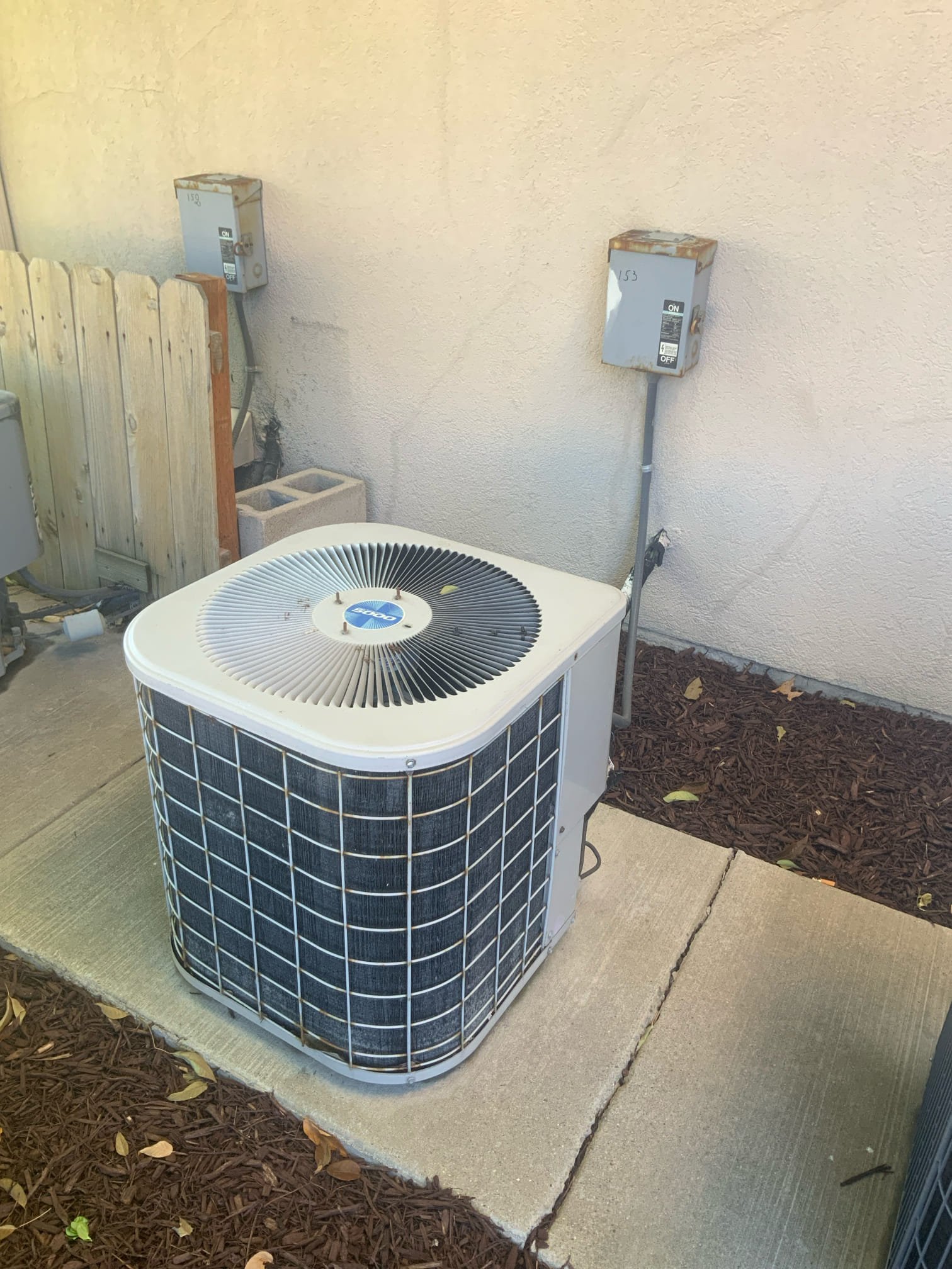 Image showcasing a clean, mold-free commercial space after affordable repairs, highlighting the effectiveness of commercial-grade mold killer and the assurance of licensed repair work, emphasizing a healthy and safe business environment.