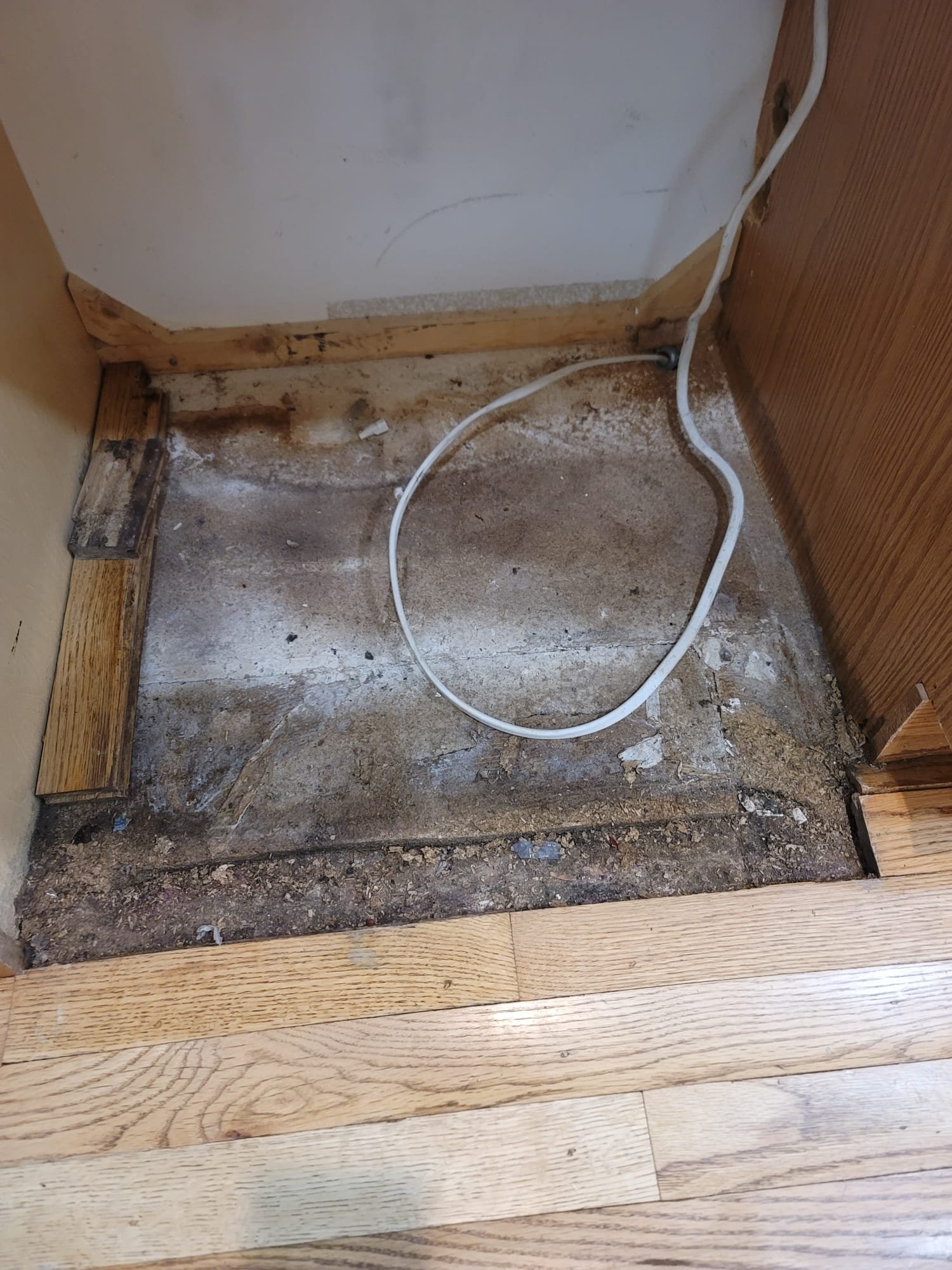 Image depicting disaster mitigation and restoration services. Possibly showing a home or business being repaired after a flood or fire. Could also illustrate preventative measures like resetting a sink disposal to avoid plumbing disasters. Focus is on professional help for water damage restoration and overall disaster recovery.