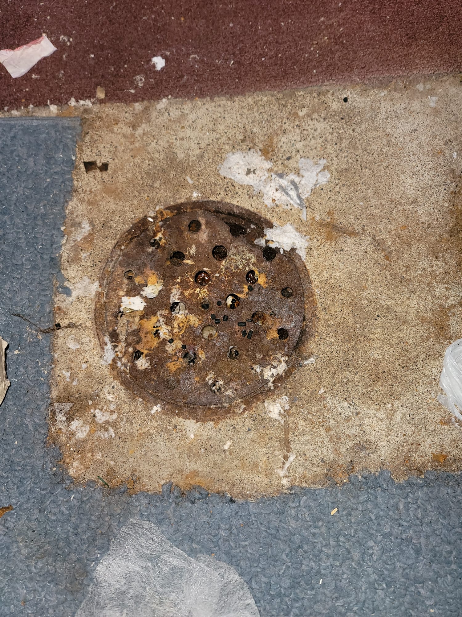 Brightly lit basement bathroom addition featuring a modern, universally compatible toilet tank. Newly installed toilet highlights the potential cost savings compared to extensive plumbing modifications, suggesting an efficient and affordable toilet replacement.