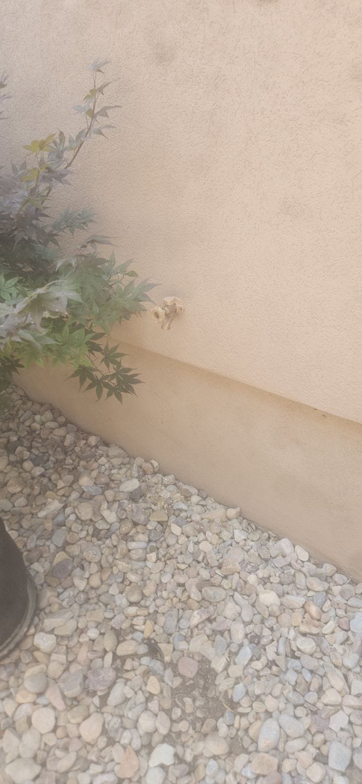 Close-up of water flowing from a Pfister Pasadena faucet into a sink. The faucet's design is sleek and modern, highlighting its various components as illustrated in a typical faucet diagram. This image showcases the faucet's functionality and aesthetic appeal, emphasizing its role in a well-equipped kitchen or bathroom.