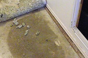carpet-pulled-back-water-damage-on-floor