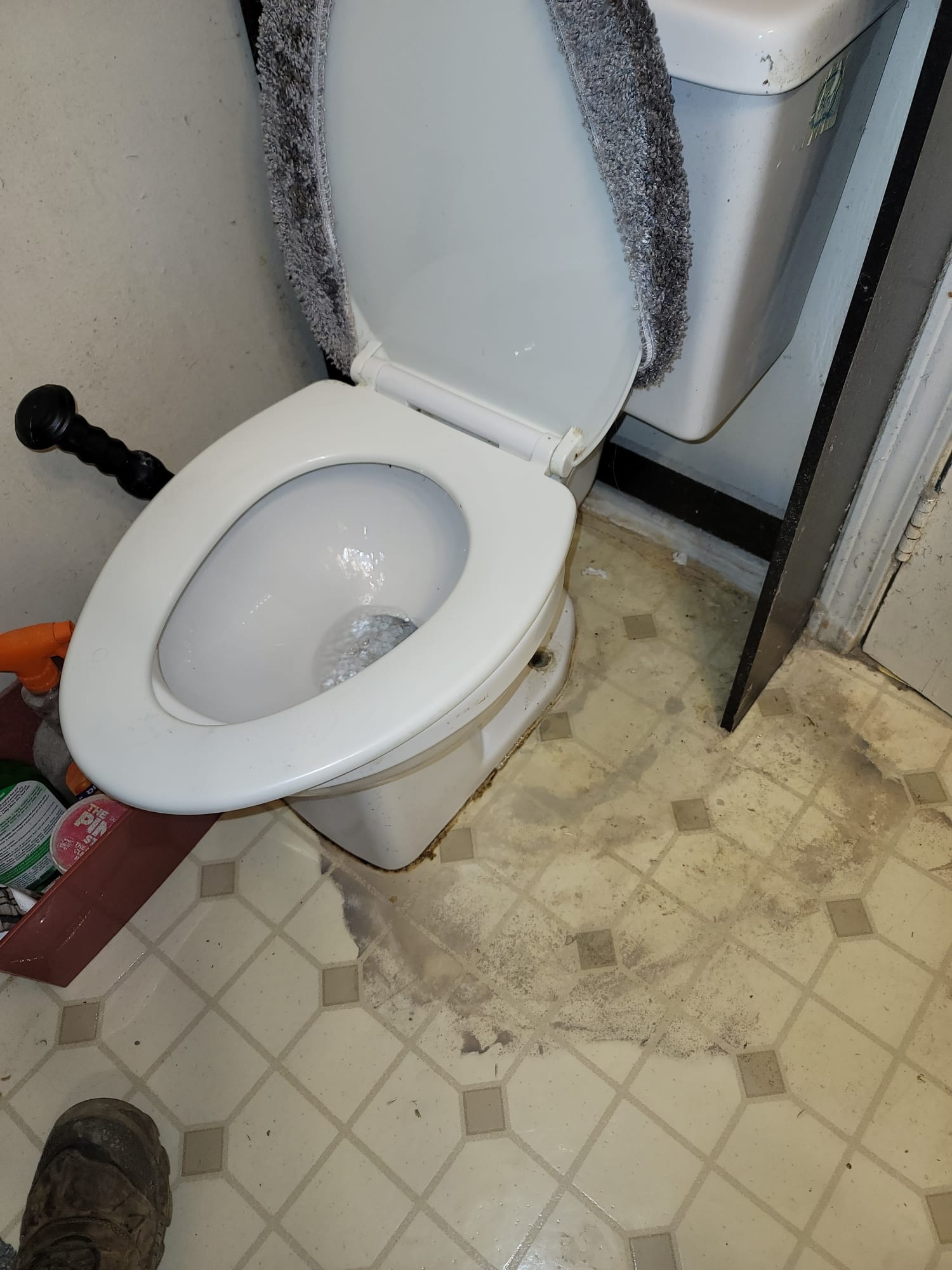 A sparkling new toilet gleams in a bright, clean bathroom, showcasing the benefits of professional toilet installation. The fresh fixture promises improved hygiene and efficient water usage, highlighting the value of both new installations and regular toilet installation maintenance.