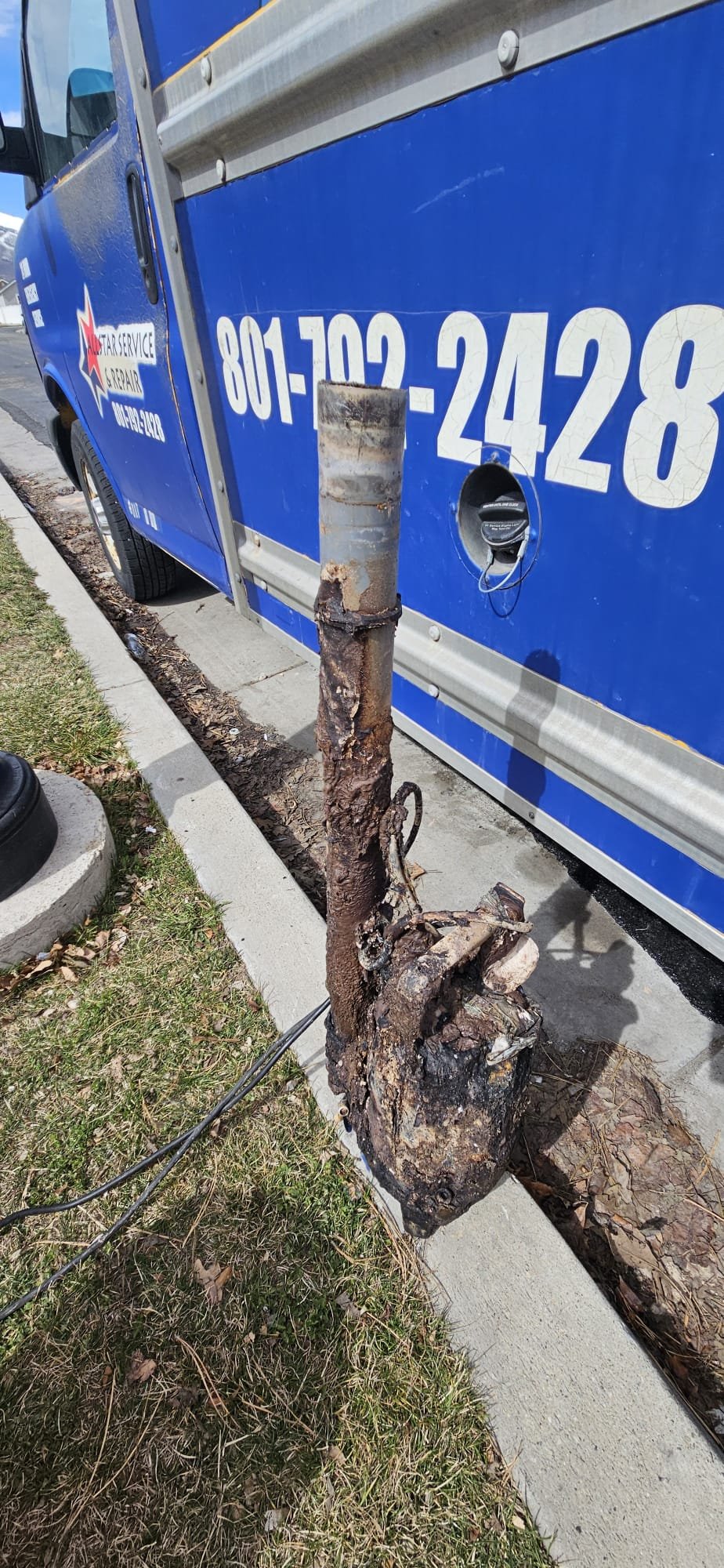 Clean, healthy yard showcasing a well-maintained septic system. Lush green grass and thriving plants suggest proper drainage and no sewage backup. Regular septic tank maintenance prevents costly residential sewage backup remediation repairs.