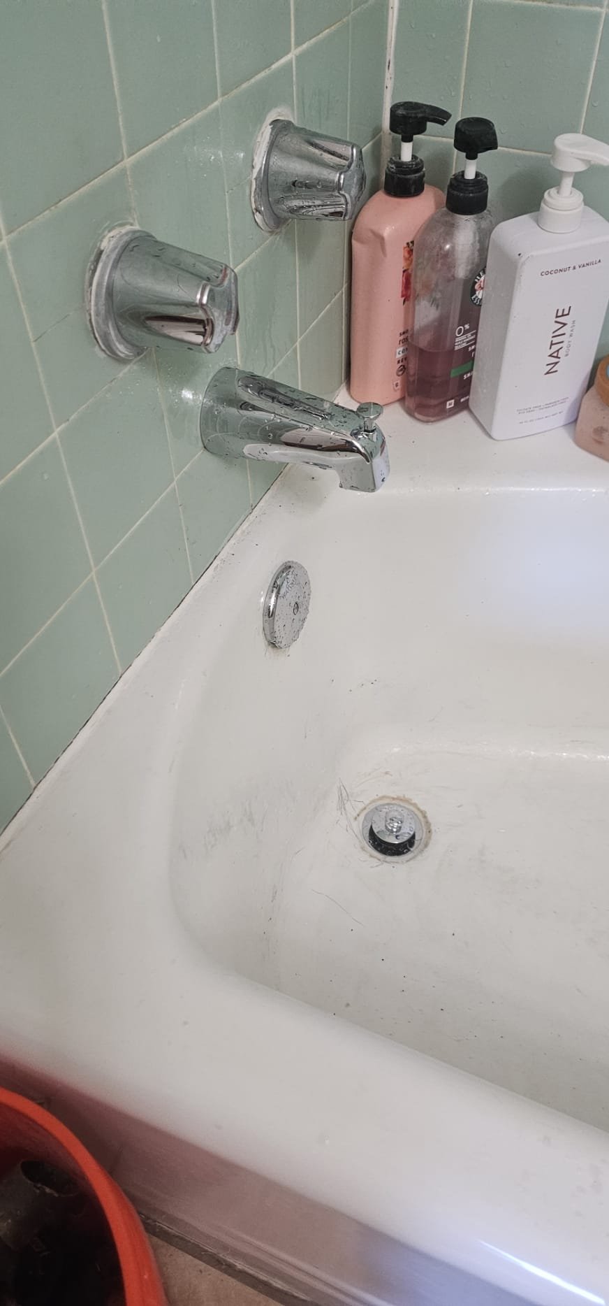 Clean, flowing water from a showerhead, implying a clear drain thanks to sewage line cleaning equipment. A sparkling clean kitchen sink is subtly out of focus in the background, suggesting a whole-house plumbing solution.