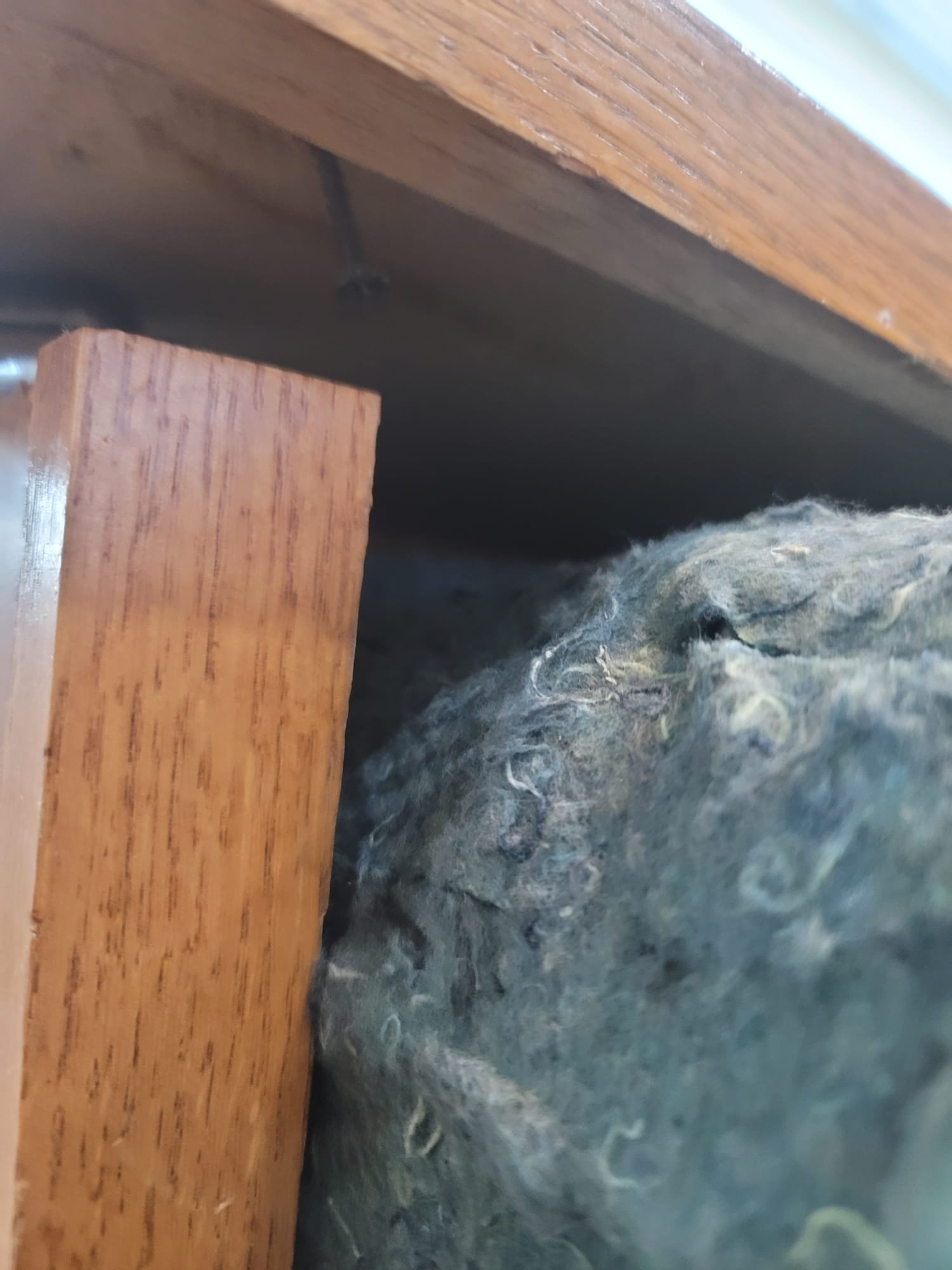 Clean, modern cleaning company website showcasing before & after photos of successful CIPP lining project. Close-up highlights pristine pipe interior, resolving emergency commercial ceiling water damage and preventing future issues. Text overlay: 'CIPP Lining: Reliable Solutions Near You.'