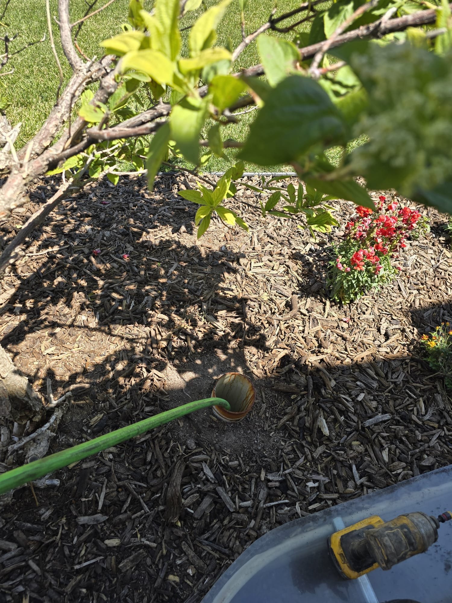 Image shows a clean, bright home interior after sewage backup cleanup. An air purifier with a cleanable filter is subtly placed in the corner, emphasizing fresh air. Licensed professionals are depicted discreetly, symbolizing thorough and reliable service, highlighting the value and peace of mind in addressing residential sewage backup.