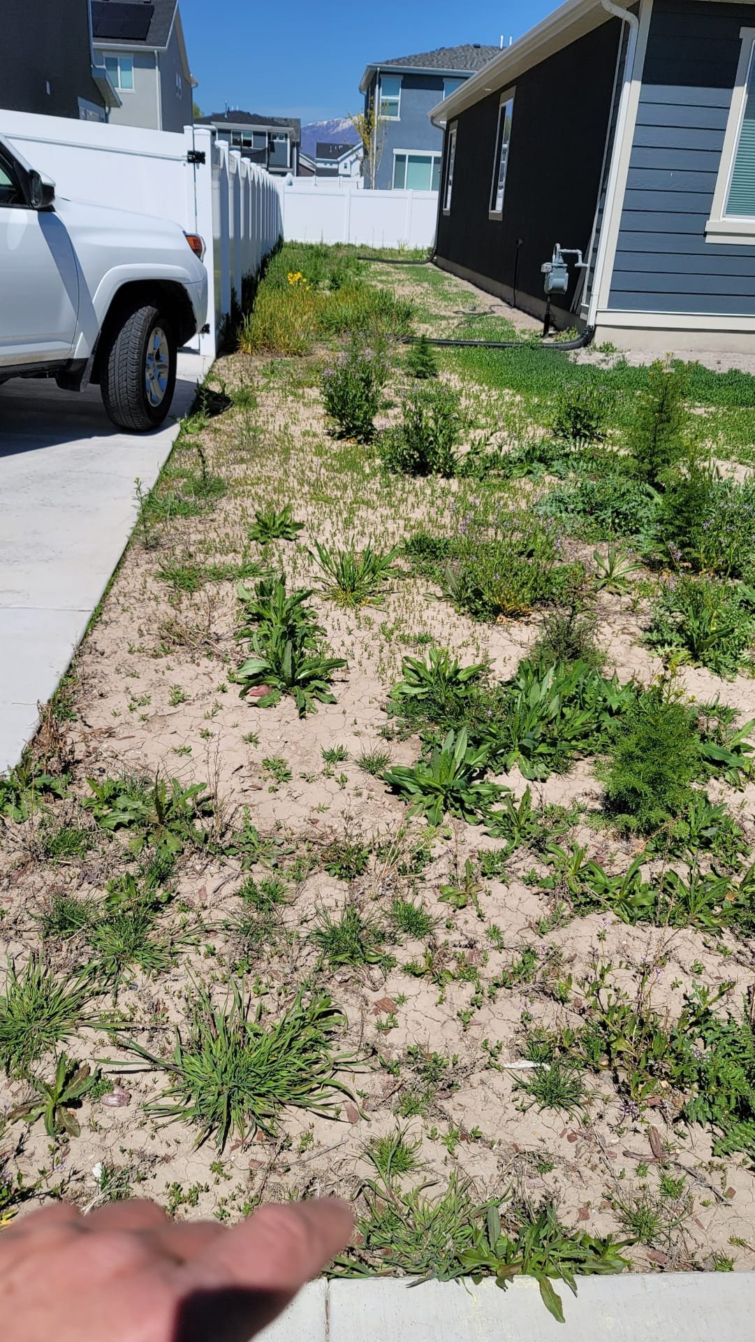 Clean, dry basement with a water softener featuring a full salt tank. Highlights disaster preparedness and cost savings.