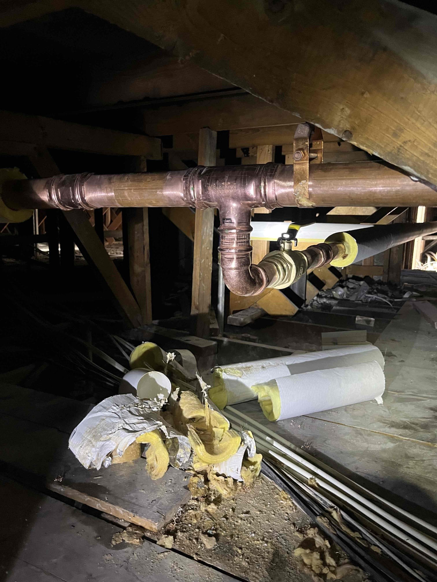 Stained ceiling with dark mold spots, a stark reminder of water damage. Contact ceiling water damage repair experts for assessment and ceiling patch repair to restore a clean, healthy home.