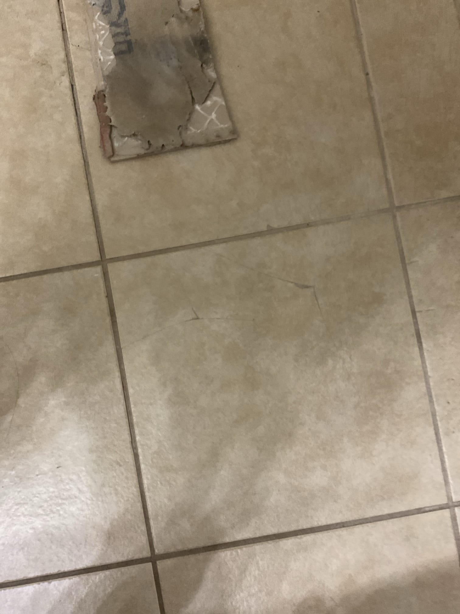 Image depicting the aftermath of residential water damage in Bradenton, highlighting the importance of water purifiers to ensure clean drinking water after potential contamination from floods or leaks. Focus on water purifier benefits after water damage.