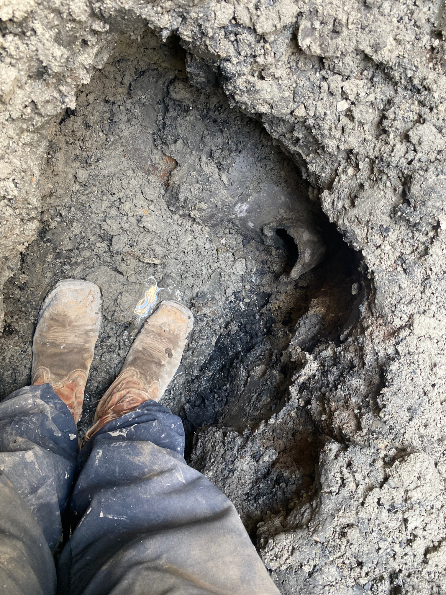 Clogged drains and disposal issues are common after storms. Image depicts a stopped-up sink, highlighting the need for storm cleanup companies to handle debris and prevent plumbing problems caused by flooding and overflowing. Addressing sink backups is crucial for post-storm recovery.