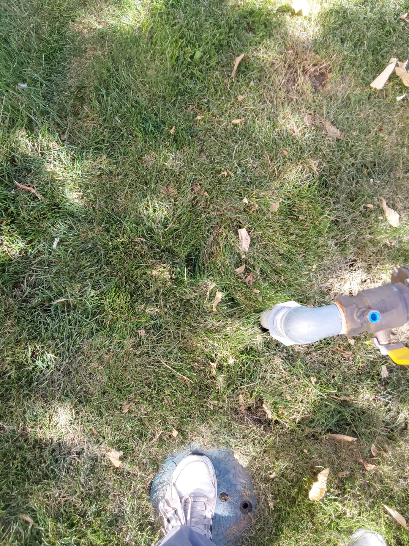 Image representing solutions for water-related issues: from finding a water filter to prevent plumbing problems, alongside services for grease trap emptying and basement ceiling water damage cleaning, ensuring comprehensive water management and property maintenance.