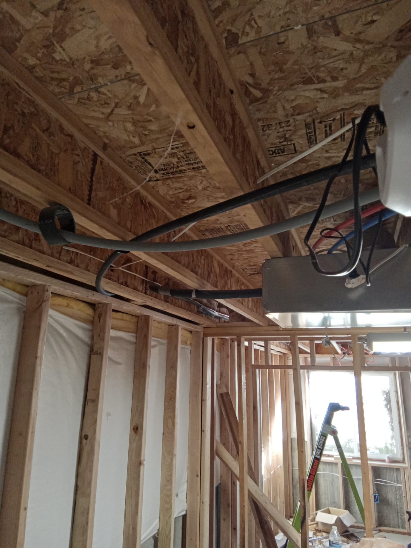 Image depicting mildew growth, a common issue exacerbated by smoke damage from wildfires. Addressing moisture and ventilation is crucial, similar to the urgency in needing to get fire smoke smell out of your house fast after a wildfire event. Mold remediation and smoke odor removal often share similar ventilation and cleaning techniques.