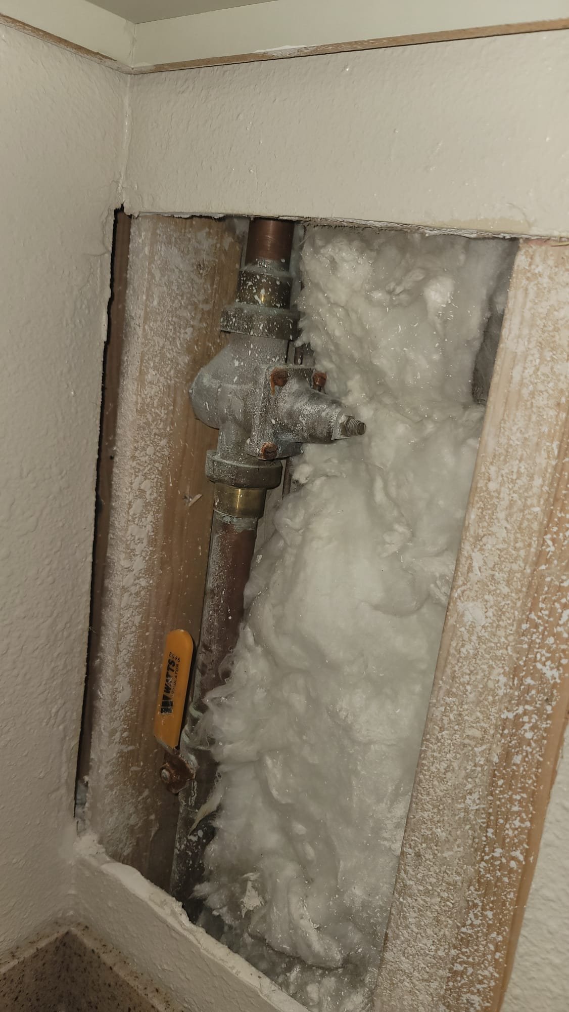 Close-up of a new, corrosion-free anode rod beside a heavily corroded one, emphasizing the importance of anode rod replacement to prevent costly water heater failure. Suggests proactive maintenance as a cost-effective alternative to a full 'water heater replacement cost' and promotes professional 'shop water heater replacement' services.