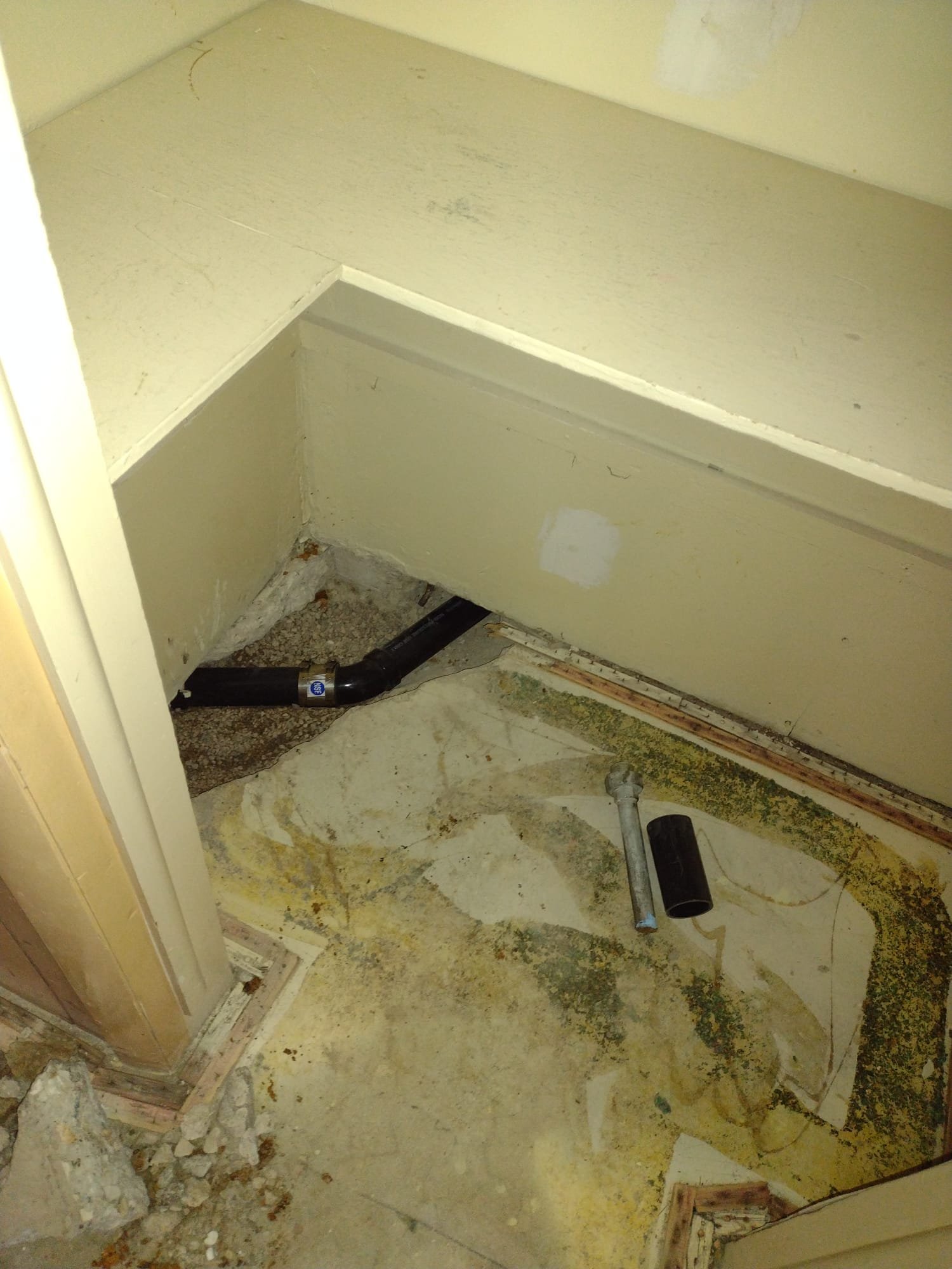 Image shows a home inspector wearing a protective mask, representing mold abatement, carefully examining a wall for mold. Cleanliness and prevention of mold growth are visually emphasized, suggesting the benefits of a professional mold assessment and the services of a mold abatement company.