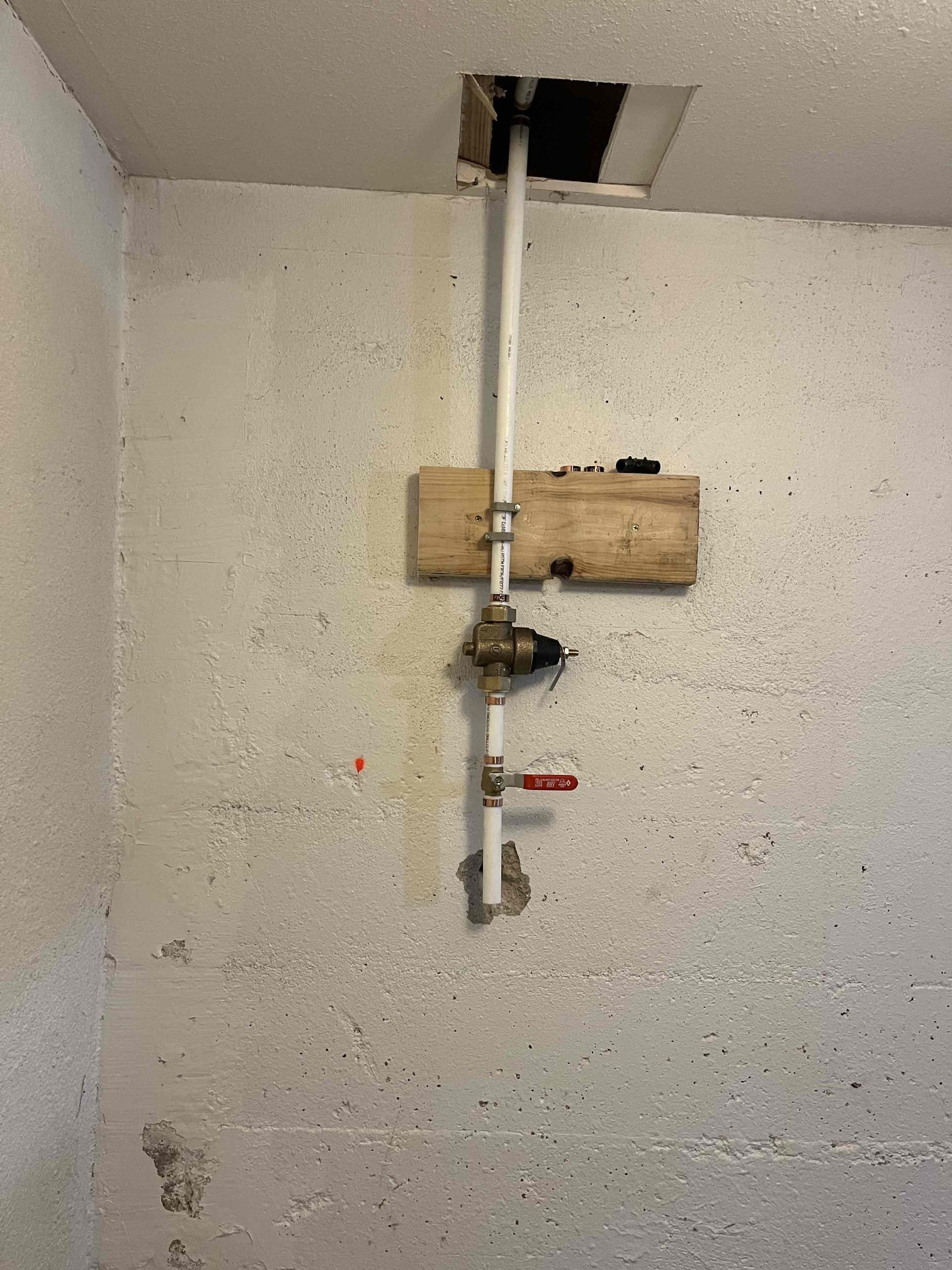 Clean, bright home interior showcasing fresh air and healthy plants. Soft focus on a water conditioning system ensuring odor-free water, highlighting the benefits of proper maintenance and positive water conditioner reviews for preventing residential water damage odor.