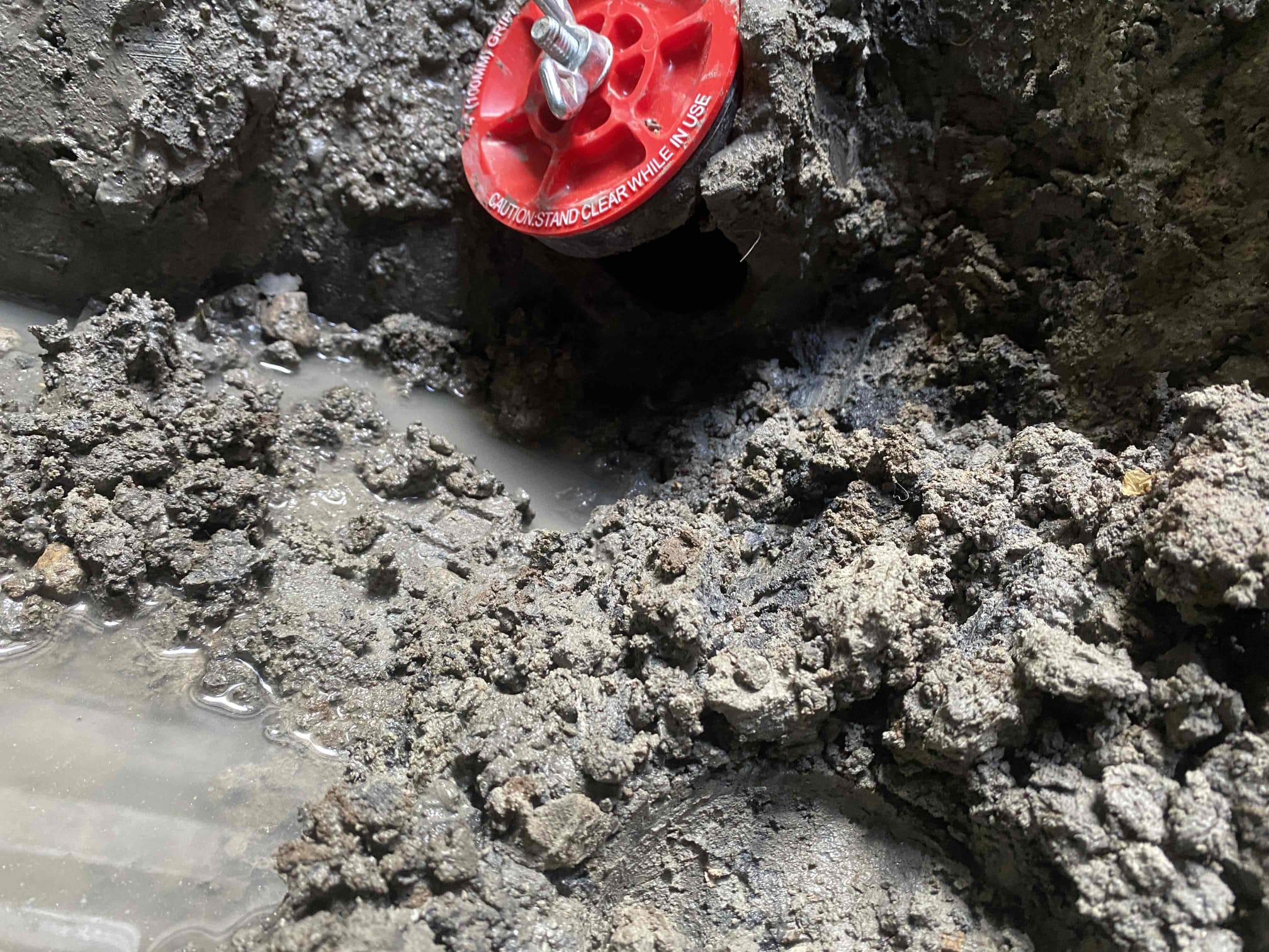 A pristine home stands against a clear sky after storm cleanup. Debris is neatly piled, showcasing the effectiveness of storm cleanup companies in restoring safety and beauty after disaster. The image highlights the peace of mind gained through storm and disaster cleanup repair services.